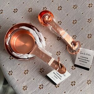 Sur La Table Copper Finish Measuring Set
